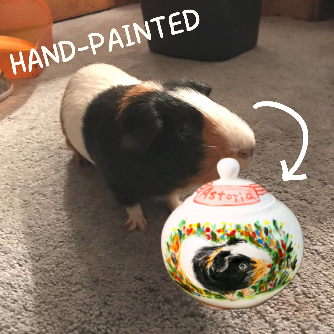 Custom Small Pet Urn, Hand-Painted Pet Portrait Memorial Keepsake for Hamsters, Guinea Pigs & Pocket Pets