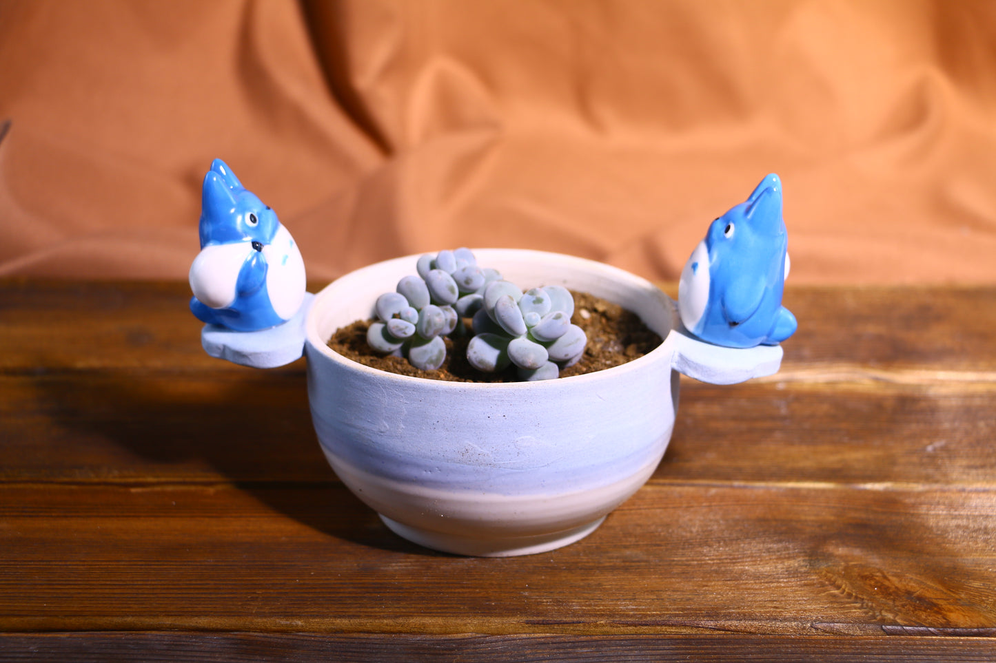 Handmade Totoro Ceramic Planter โ Unique Hand-Painted Succulent Pot with Drainage Hole