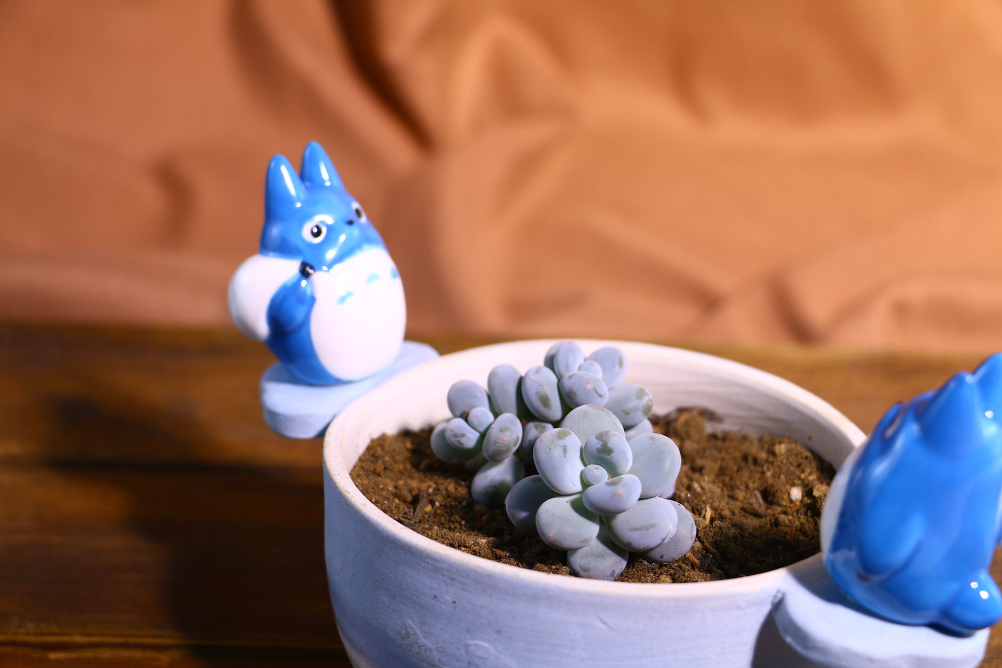 Handmade Totoro Ceramic Planter โ Unique Hand-Painted Succulent Pot with Drainage Hole