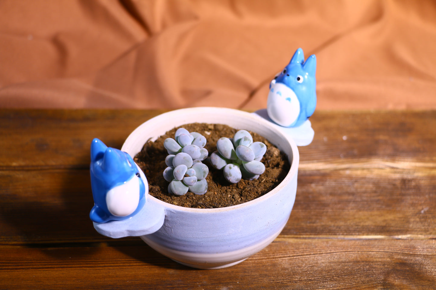 Handmade Totoro Ceramic Planter โ Unique Hand-Painted Succulent Pot with Drainage Hole