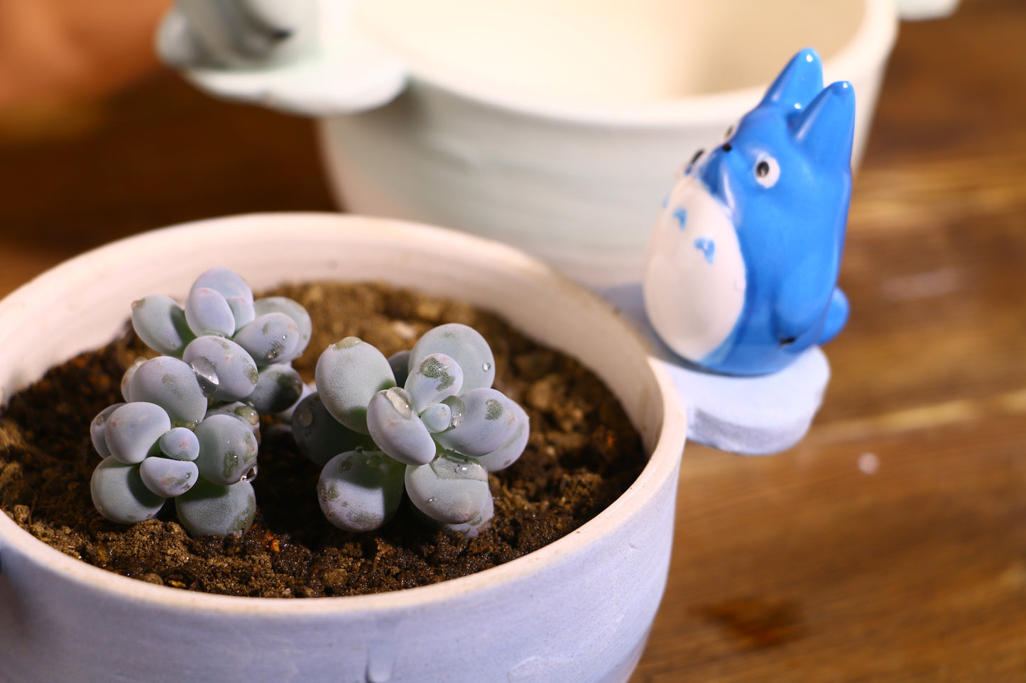 Handmade Totoro Ceramic Planter โ Unique Hand-Painted Succulent Pot with Drainage Hole