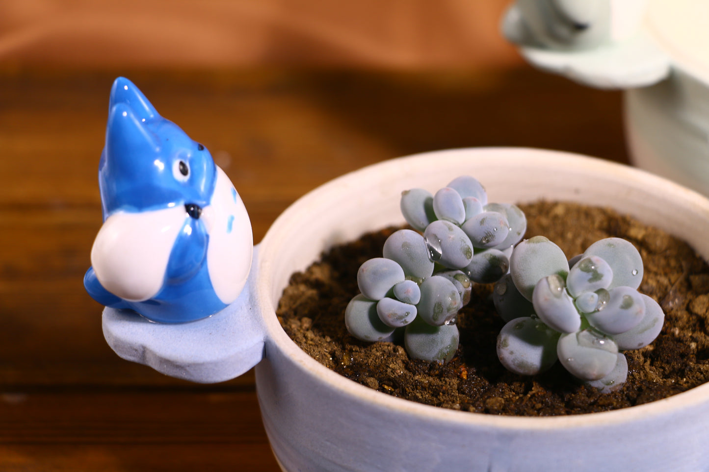 Handmade Totoro Ceramic Planter โ Unique Hand-Painted Succulent Pot with Drainage Hole