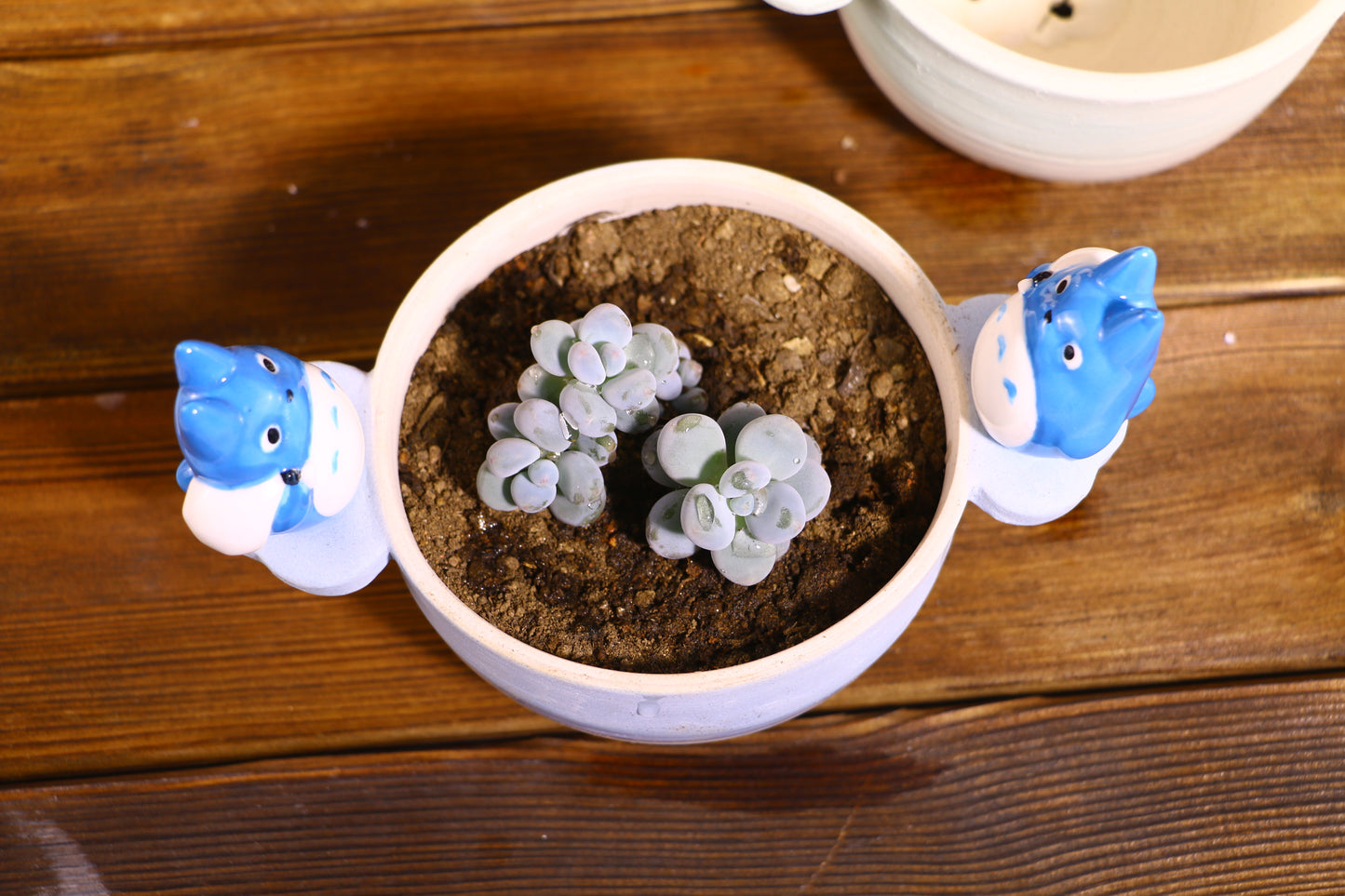 Handmade Totoro Ceramic Planter โ Unique Hand-Painted Succulent Pot with Drainage Hole