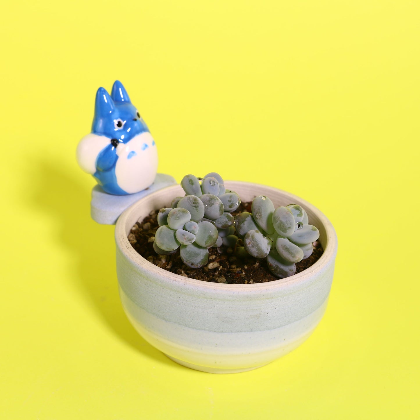 Handmade Cute Totoro&Jiji Ceramic Flower Pot, Perfect for Succulents and Small Plants