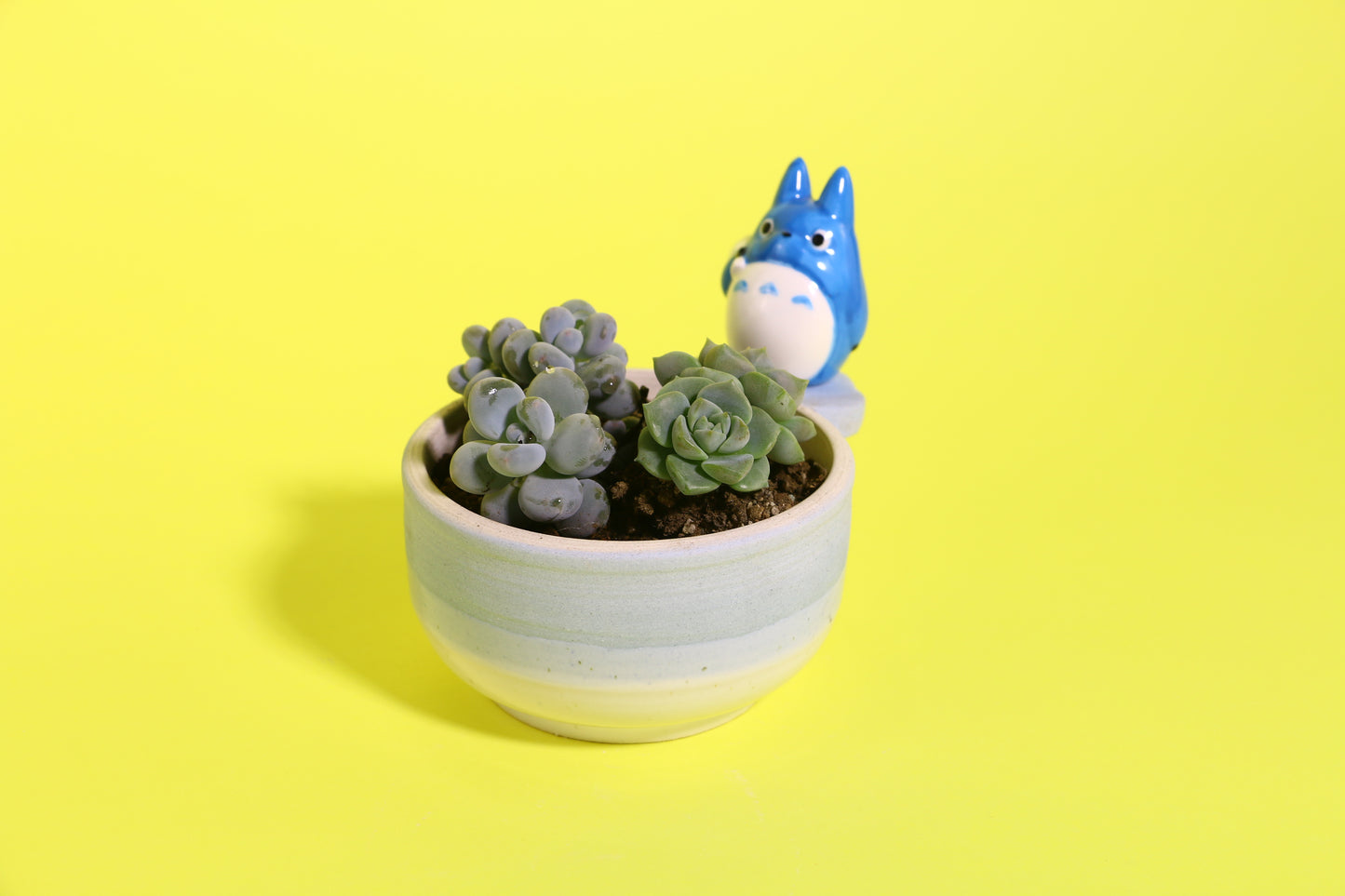Handmade Cute Totoro&Jiji Ceramic Flower Pot, Perfect for Succulents and Small Plants