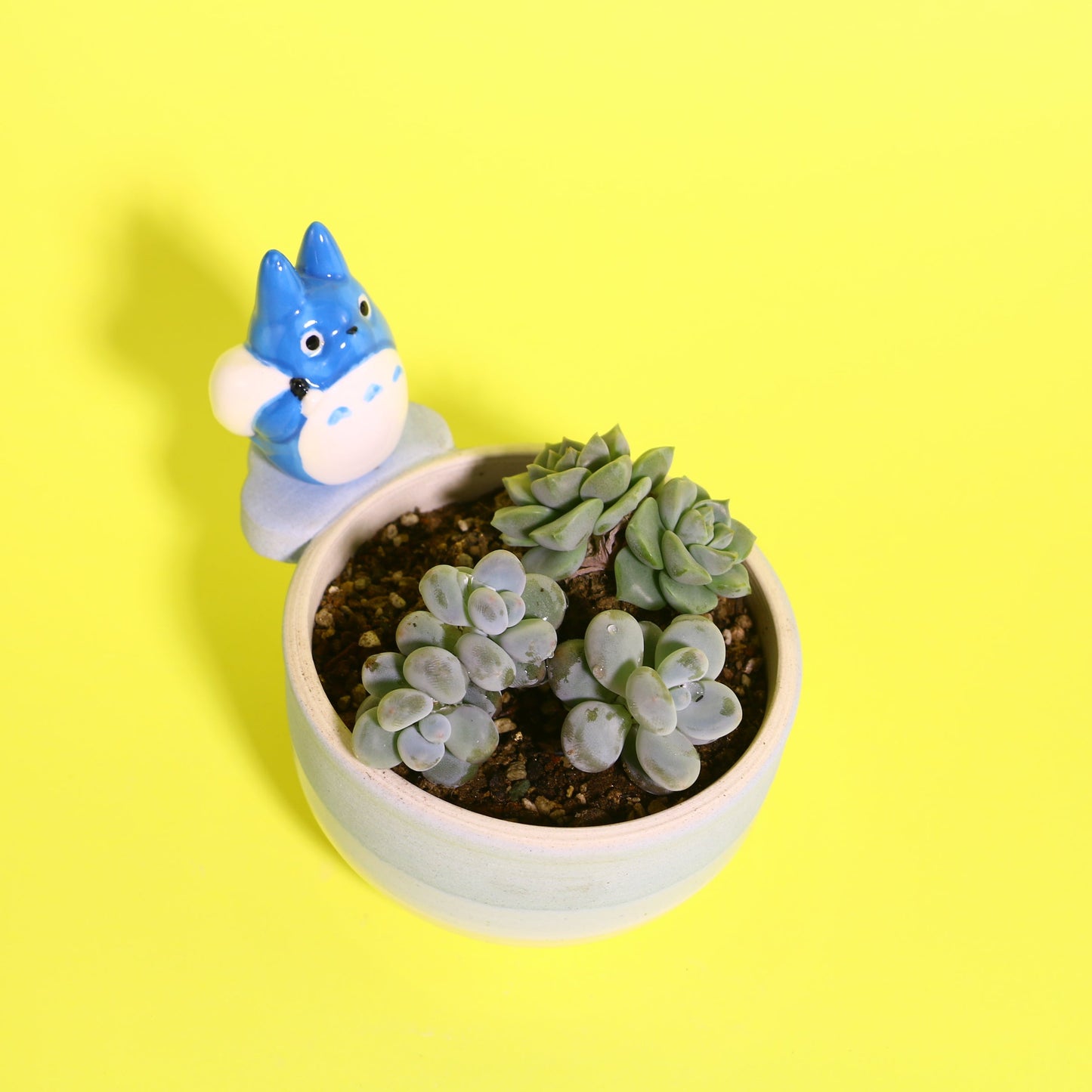 Handmade Cute Totoro&Jiji Ceramic Flower Pot, Perfect for Succulents and Small Plants