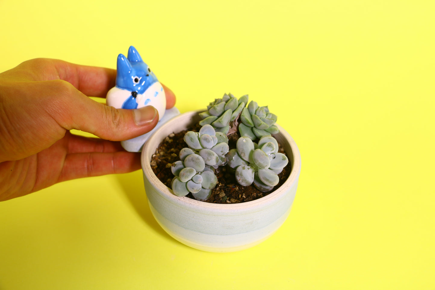 Handmade Cute Totoro&Jiji Ceramic Flower Pot, Perfect for Succulents and Small Plants