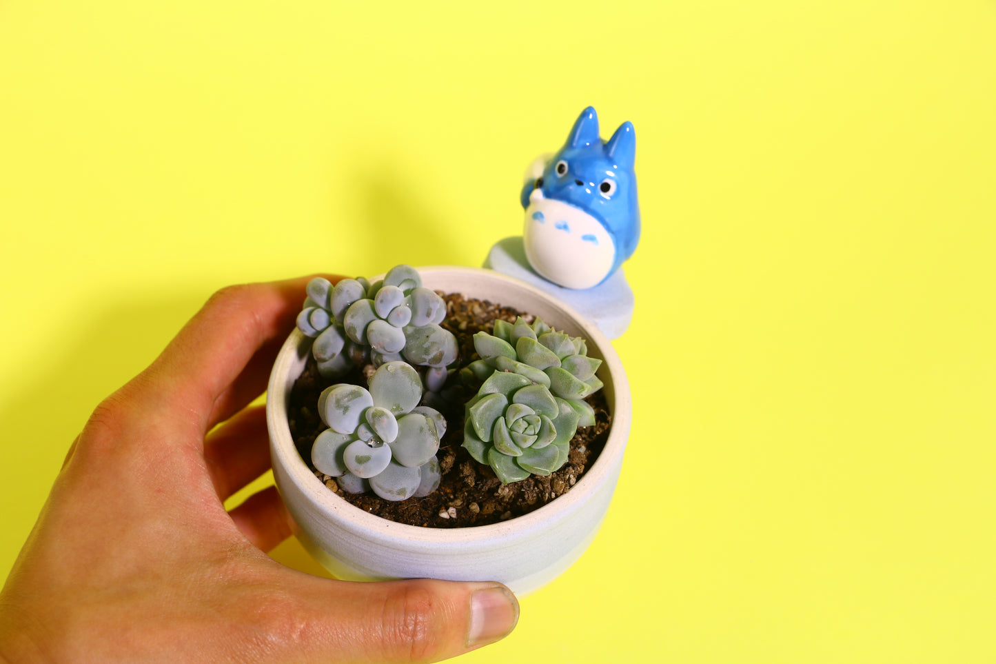Handmade Cute Totoro&Jiji Ceramic Flower Pot, Perfect for Succulents and Small Plants