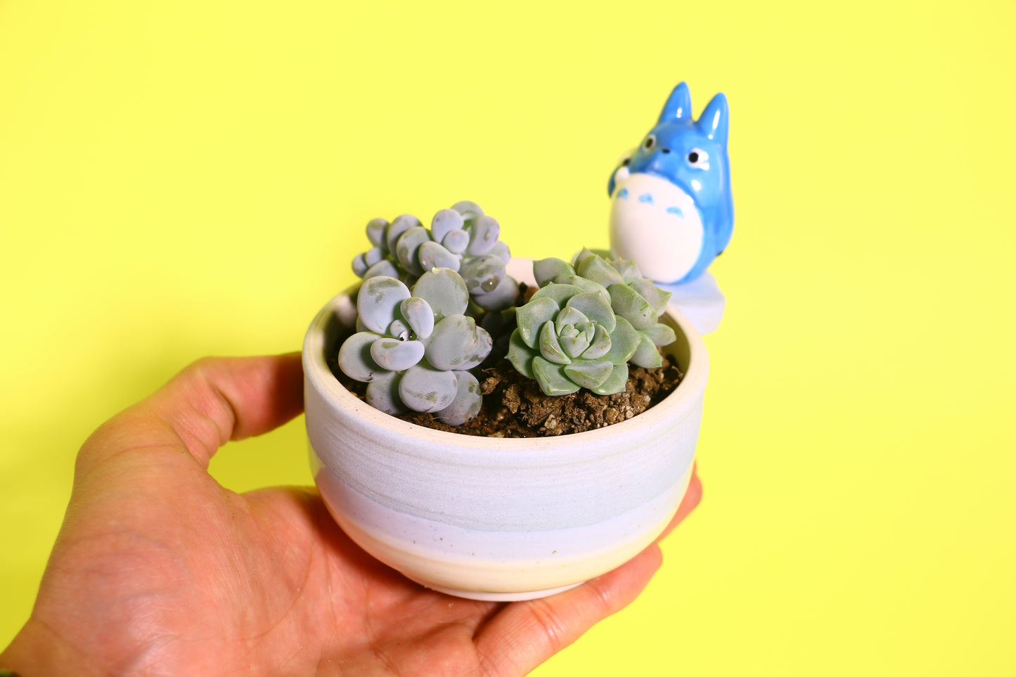Handmade Cute Totoro&Jiji Ceramic Flower Pot, Perfect for Succulents and Small Plants