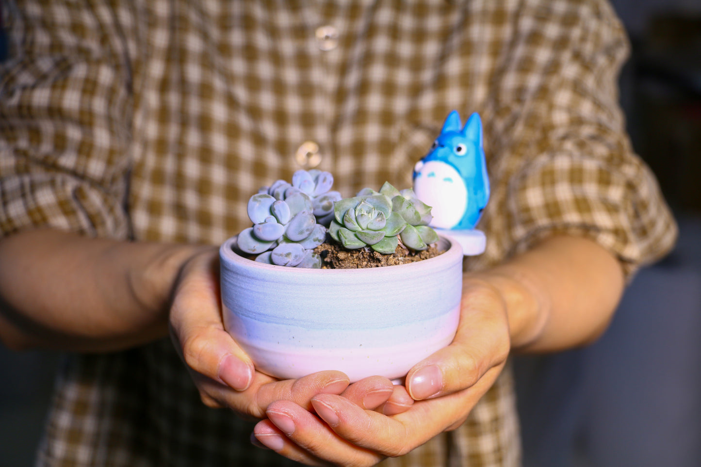 Handmade Cute Totoro&Jiji Ceramic Flower Pot, Perfect for Succulents and Small Plants