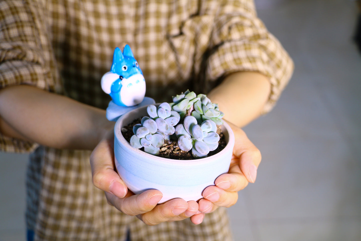 Handmade Cute Totoro&Jiji Ceramic Flower Pot, Perfect for Succulents and Small Plants