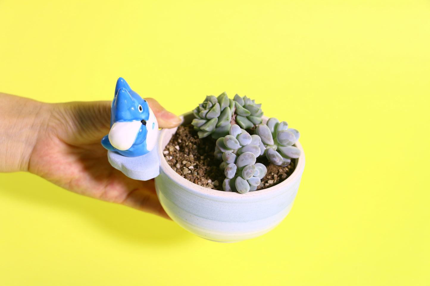 Handmade Cute Totoro&Jiji Ceramic Flower Pot, Perfect for Succulents and Small Plants