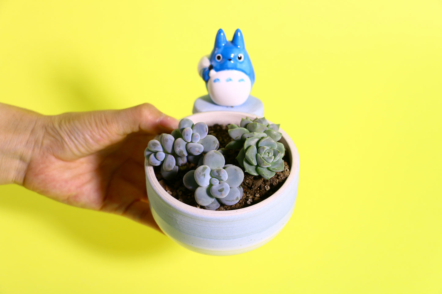 Handmade Cute Totoro&Jiji Ceramic Flower Pot, Perfect for Succulents and Small Plants
