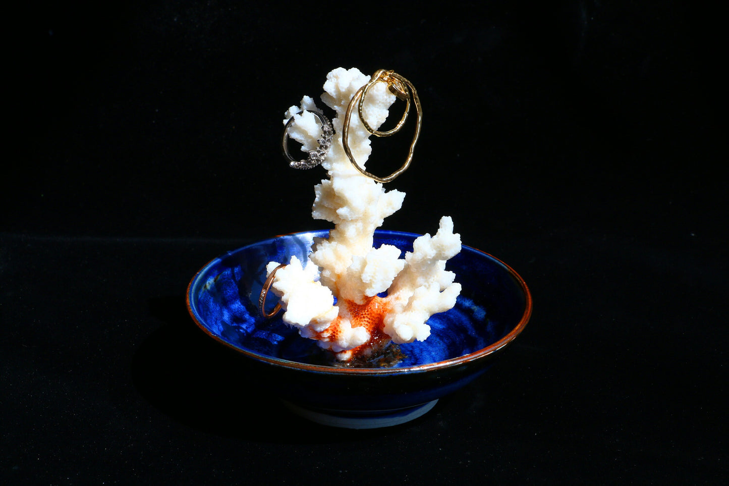 Deep-sea Series, Personalized Coral Jewelry Dish