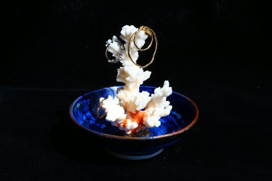 Deep-sea Series, Personalized Coral Jewelry Dish