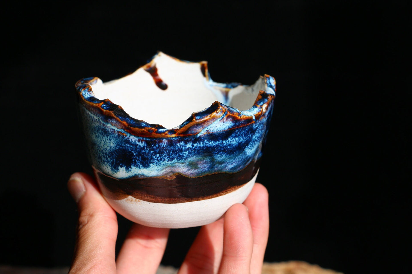 Ceramic Blue Flower Pot, Succulent Plants, Mini Garden