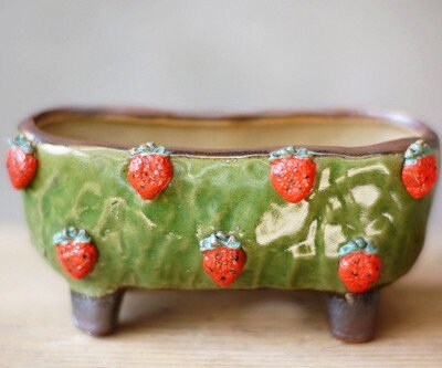 Colorful Ceramic Flower Pot, Handmade Succulent Planter