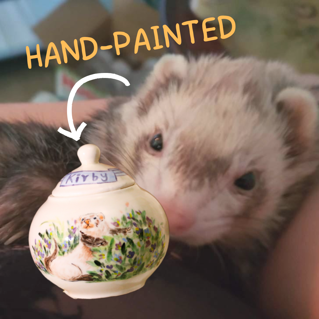 Custom Angora Ferret Urn, Personalized Hand-painted Pet Portrait Ceramic Urn for Memorial & Keepsake