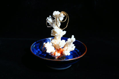 Deep-sea Series, Personalized Coral Jewelry Dish