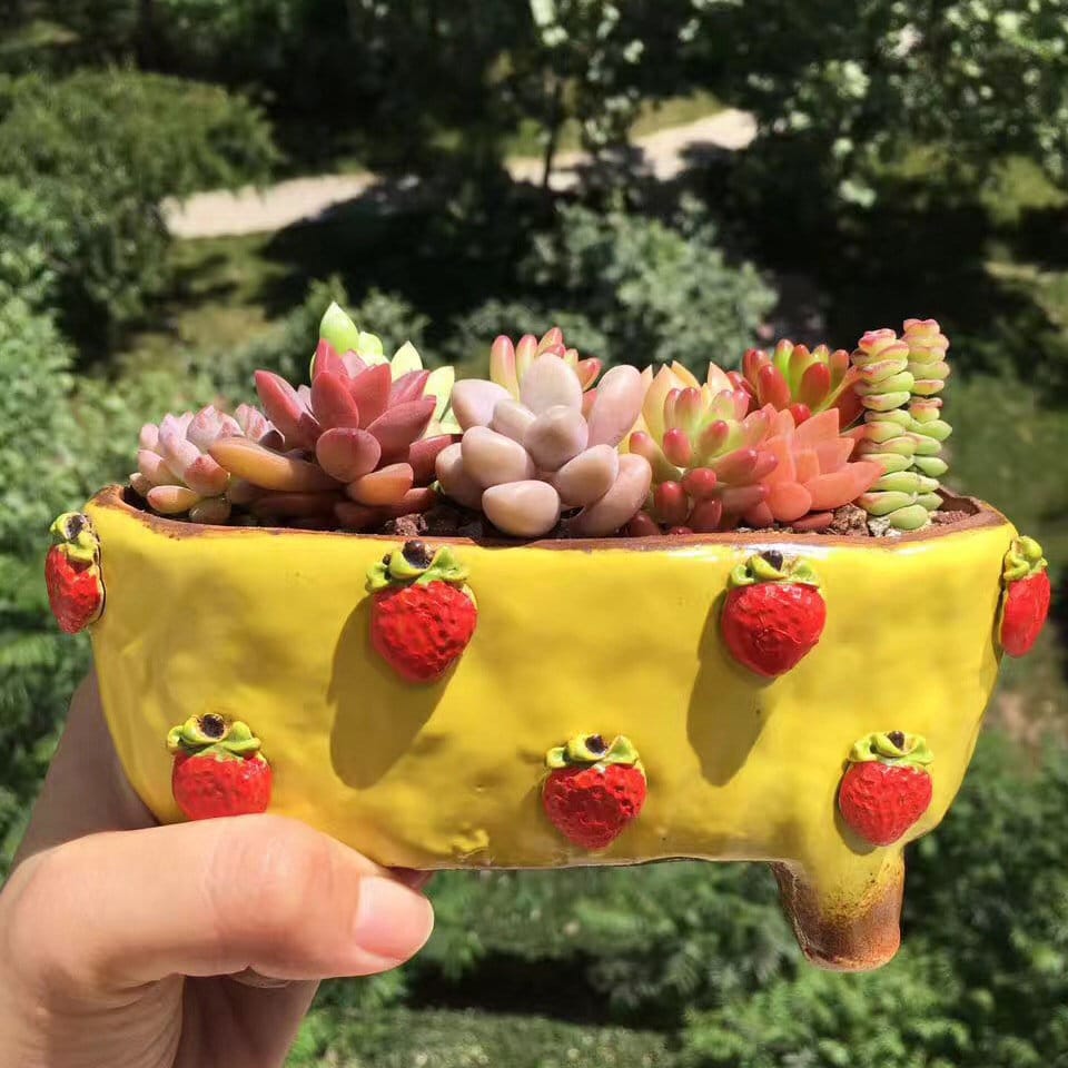 Colorful Ceramic Flower Pot, Handmade Succulent Planter
