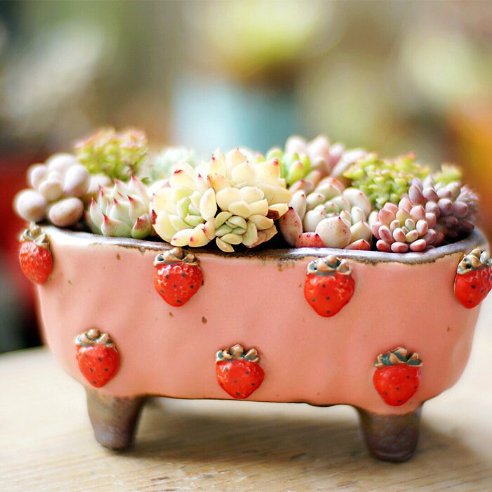 Colorful Ceramic Flower Pot, Handmade Succulent Planter